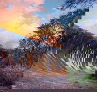 Wave Rock Private Tour - Events Australia