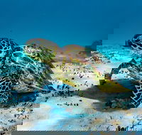 Turtle and Reef Adventure - Events Australia