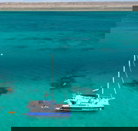 Whale Shark Swim by Catamaran in Shoulder Season - Events Australia