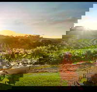 Private Swan Valley Tour by Luxury Vehicle from Perth - Events Australia