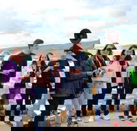 Margaret River Wine and Sights Discovery Tour from Busselton or Dunsborough - Events Australia