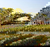 Margaret River and Geographe Bay Region Day Trip from Perth - Events Australia