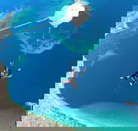 Skydive Perth From 15000ft With Beach Landing - Events Australia