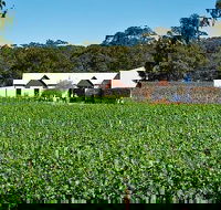 Upper Reach Winery Swan Valley Winery and Vineyard Tour - Events Australia