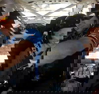 Western Australia Rally School Hotlap Ride in a Rally Car 3 Laps - Events Australia