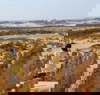 Full-Day Pinnacles Sandboarding and Yanchep National Park from Perth - Events Australia