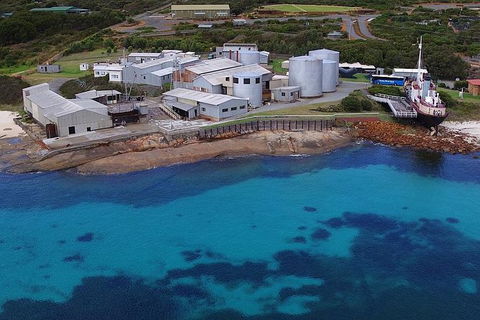 Albany\'s Whale Story - Events Australia 6