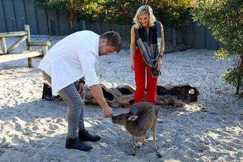 Albany\'s Whale Story - Events Australia 8