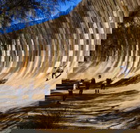 The Big Wave Rock Private Day Tour - Events Australia