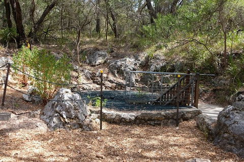 Ngilgi Cave Semi-guided Tour - Events Australia 7