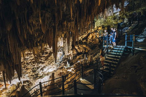 Ngilgi Cave Semi-guided Tour - Events Australia 2