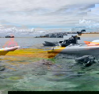 Seal Island and Penguin Island or Point Peron Sea Kayak Tour - Events Australia