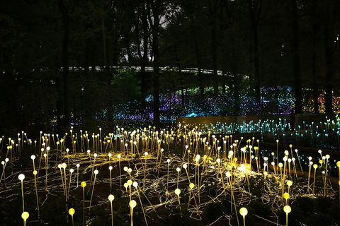 National Anzac Centre Field Of Light Panorama Pass - Events Australia 0
