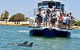 Mandurah Dolphin And Scenic Marine Cruise - thumb 0