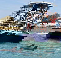 Mandurah Dolphin and Scenic Marine Cruise - Events Australia