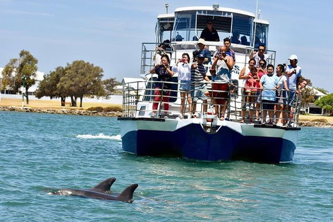 Mandurah Dolphin And Scenic Marine Cruise - Events Australia 0