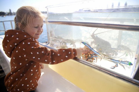 Mandurah Dolphin And Scenic Marine Cruise - Events Australia 5