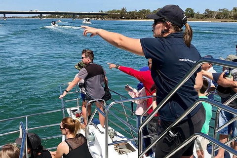 Mandurah Dolphin And Scenic Marine Cruise - Events Australia 19