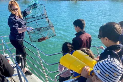 Mandurah Dolphin And Scenic Marine Cruise - Events Australia 18