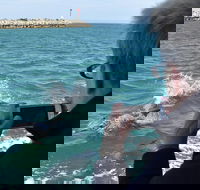 Mandurah Dolphin Island Adventure - Events Australia