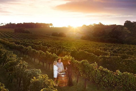 Leeuwin Estate: Food And Wine Experience - Events Australia 0