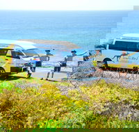 Margaret River Coastal and Wildlife Eco Trip from Busselton or Dunsborough - Events Australia