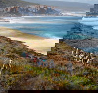 8-Day Cape to Cape Track Guided Walking Tour from Perth - Events Australia