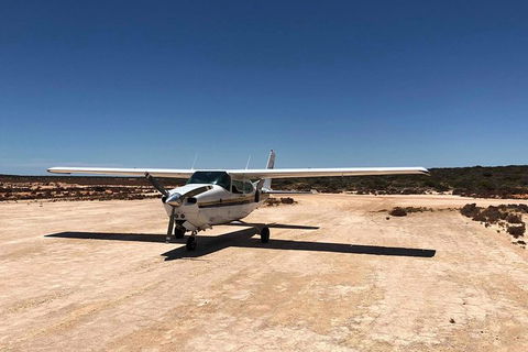 Kalbarri Gorges & West Coast - Ground & Air Tour - Events Australia 6