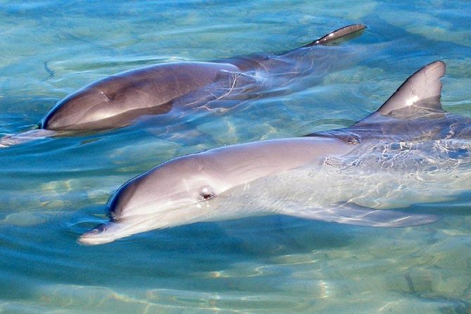 Perth Gpo WA Events Australia