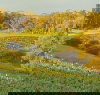 Swan Valley Private Tour - Events Australia