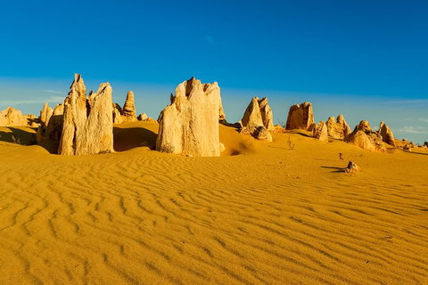 Pinnacles Desert Tour - Events Australia 0