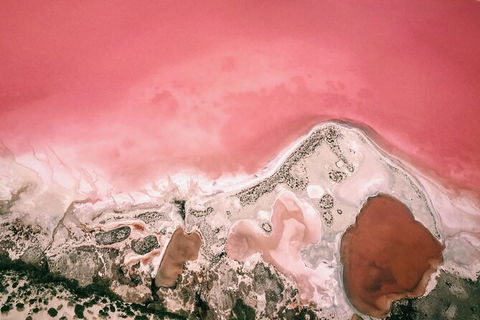 Kalbarri, Pink Lake And Abrolhos Islands Nature Tour - Events Australia 6