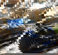 Wineries and Wildlife - With Mustang V8 Fastback - Events Australia