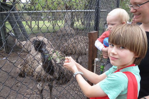 Swan Valley Half-Day Food Tour And Wine Trail From Perth - Events Australia 6