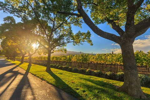 VIP Swan Valley Wine Tour - Premium Small Group Wine & Gourmet Experience - Events Australia 1