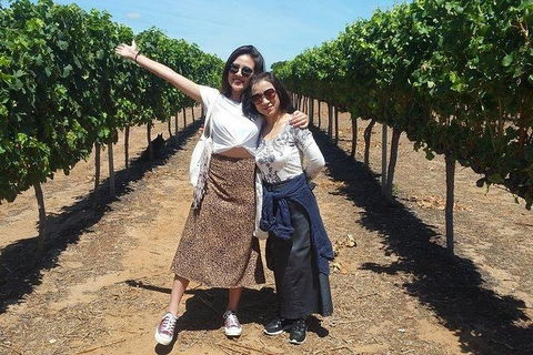 VIP Swan Valley Wine Tour - Premium Small Group Wine & Gourmet Experience - Events Australia 3
