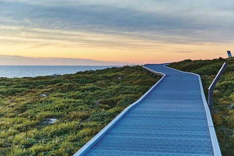 Rottnest Island Bayseeker Day Trip From Fremantle - Events Australia 6