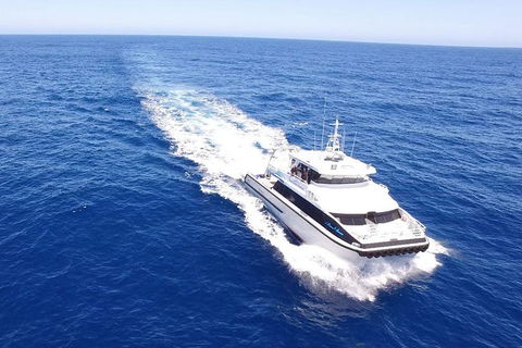 Augusta Whale Watching Eco Tour - Events Australia 8