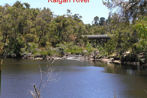 Kalgan Queen Scenic Cruises A Four Hour Sheltered Water Wildlife Tour Daily Fun. - Events Australia 3