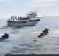 Busselton Whale Watching Eco Tour - Events Australia