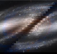 Dusk to Dawn Astronomy Experience at Bullara Station Stay - Events Australia