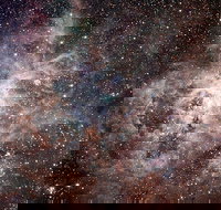 Overnight Astronomy Experience Ningaloo - Yardie Homestead - Events Australia