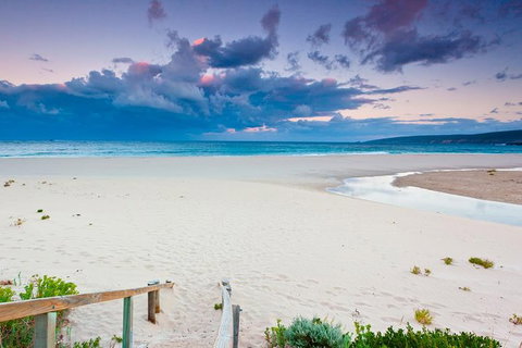 5 Hours Wineries, Coffee Tasting, Forest & Lunch At The Berry Farm - Events Australia 7