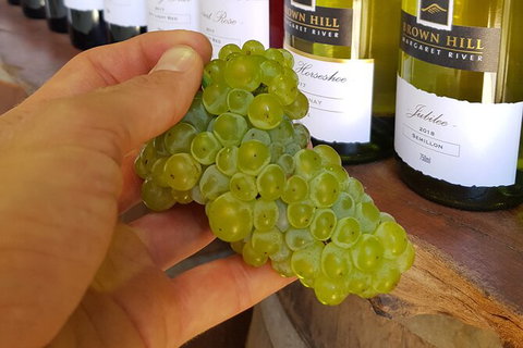 5 Hours Wineries, Coffee Tasting, Forest & Lunch At The Berry Farm - Events Australia 12