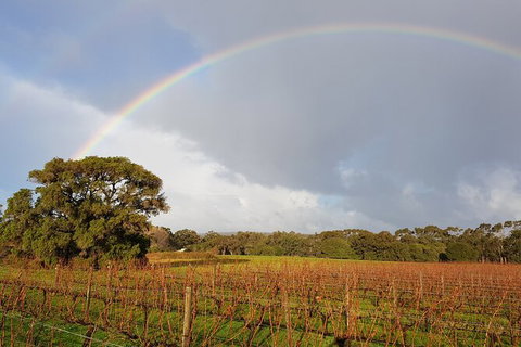 5 Hours Wineries, Coffee Tasting, Forest & Lunch At The Berry Farm - Events Australia 20