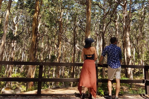 5 Hours Wineries, Coffee Tasting, Forest & Lunch At The Berry Farm - Events Australia 11