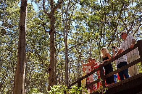 5 Hours Wineries, Coffee Tasting, Forest & Lunch At The Berry Farm - Events Australia 4