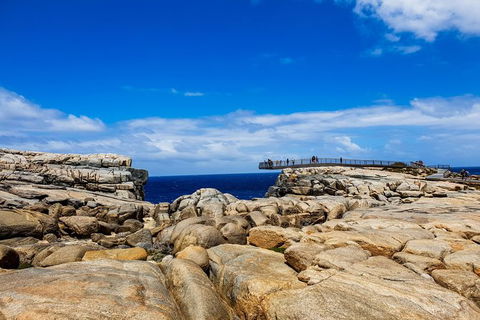 Torndirrup National Park And Bay Highlights - Tourism Bookings 1