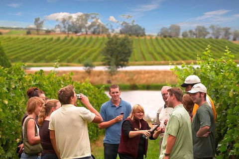 Yarra Valley Wine And Winery Tour From Melbourne - Events Australia 0