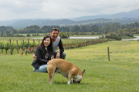 Yarra Valley Wine And Winery Tour From Melbourne - Events Australia 6